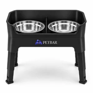 PetBar | Double Deck Elevated Pet Feeding Stand With Licking Plate